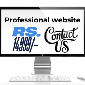 Professional Website